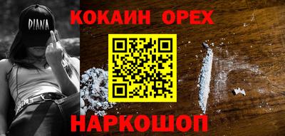 крисы Новодвинск