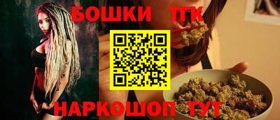 крисы Новодвинск