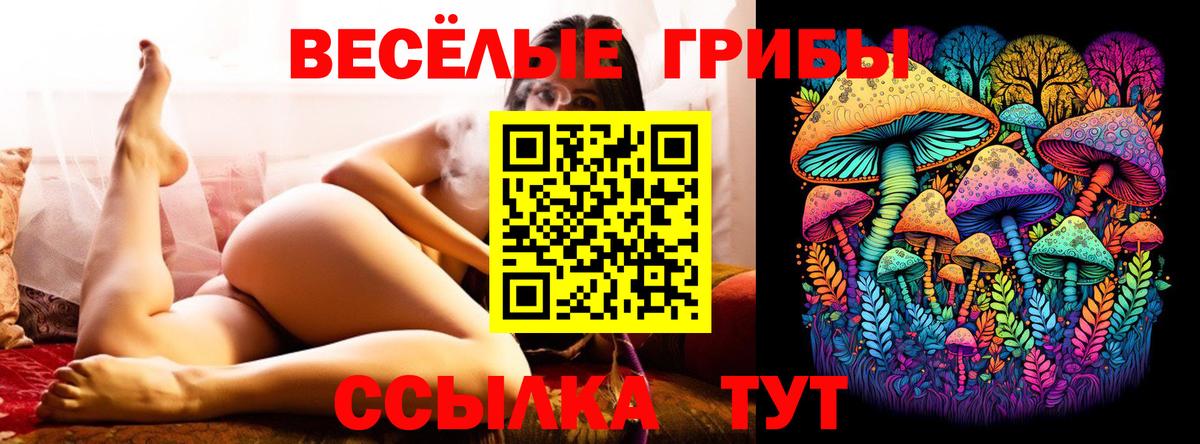 Светлоград  Галлюциногенные грибы Cubensis  Вход с VPN 